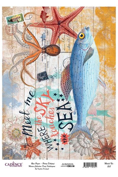 Cadence Rice Decoupage-808
