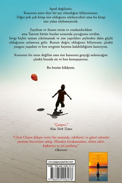 Pegasus Yayınları Kundakçı - Chris Cleave
