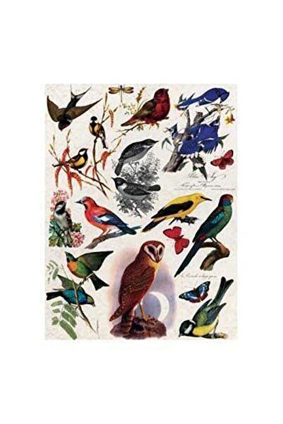 Cadence Pirinç Dekopaj Kağıdı Model 48