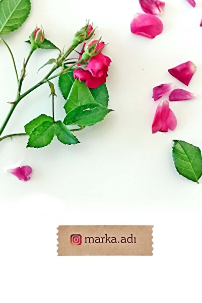 Vice Kişiye özel etiket -144 adet Kraft sticker - Marka Etiketi (1,8 x 5.5 cm)