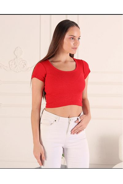 Bleu Petite Round Neck Lycra Crop Camisole