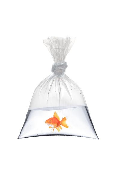 POŞET 40X60 Quality Nylon Bag, 7 Micron I 1kg