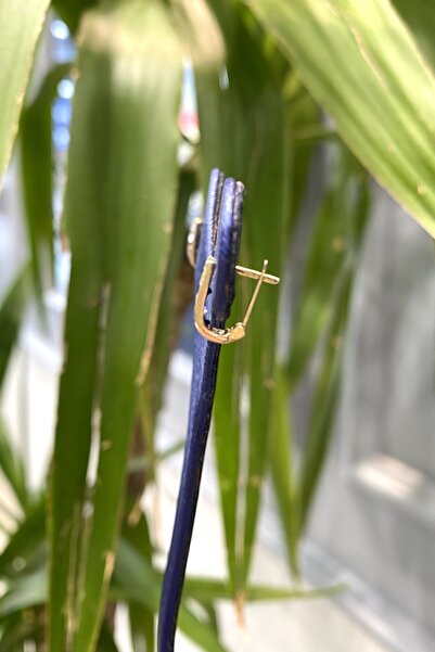 Altınaşkı Renkli Taşlı Altın Çocuk Küpe