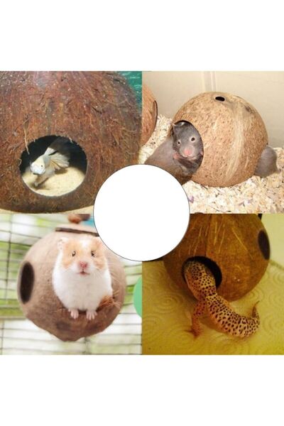 UniqBirdToys Walnut Bird Toy with 3 Holes