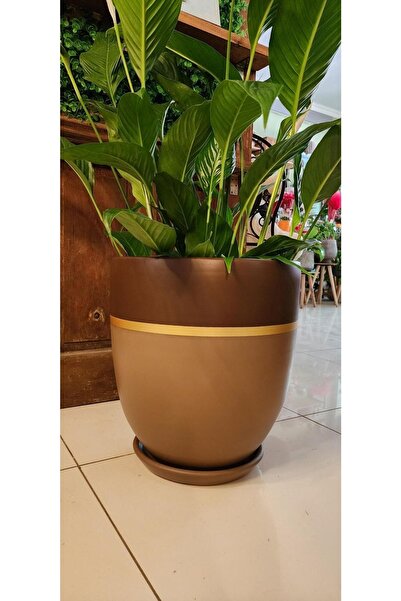 Balcony Flower 40 Cm Exclusive Salon Saksı