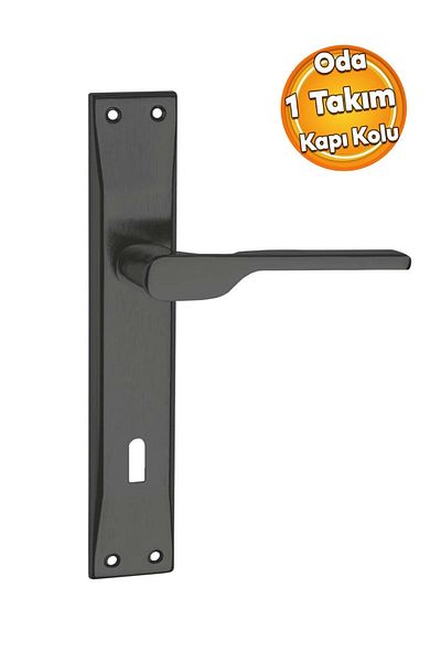 Nobel Turquoise Matte Black Mirrored Room Door Handle (1 Set)