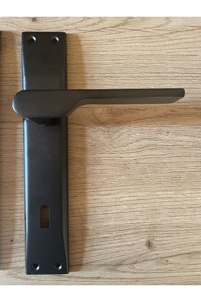 Nobel Turquoise Matte Black Mirrored Room Door Handle (1 Set)