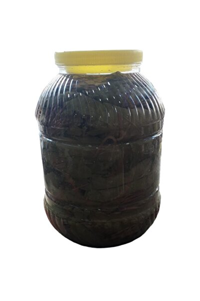 ŞAHİN YÖRESEL MAKET 5 Kg Tokat Zile Asma Yaprağı 2025 Yeni Mahsül