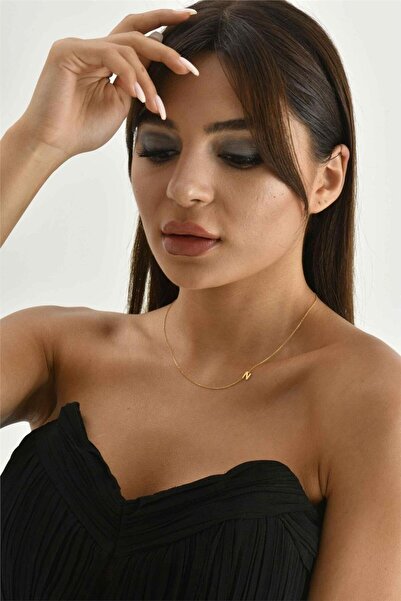 Minamis Silver 925 Ayar Gümüş N Harfi Köprücük Kolye