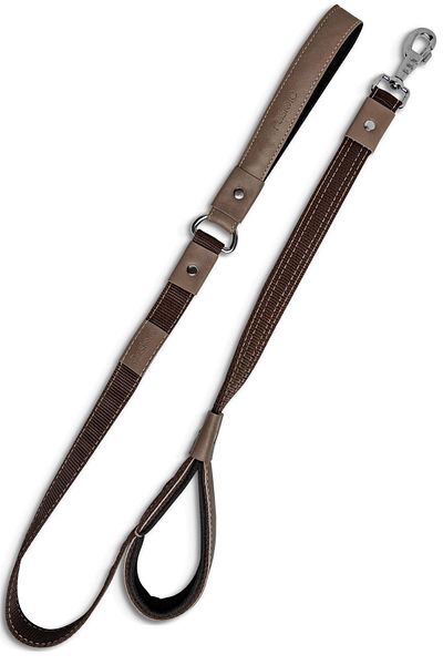 pasiole Dog Collar, Dog Leather Walking Collar, Sturdy Dog Walking Strap - Stella