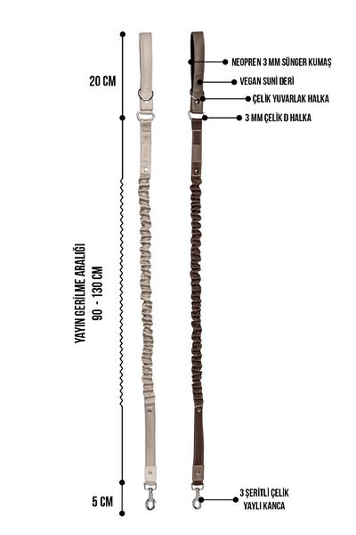 pasiole Shock Absorbing Dog Walking Leash, Anti Shock Spring Dog Walking Leash - Ador