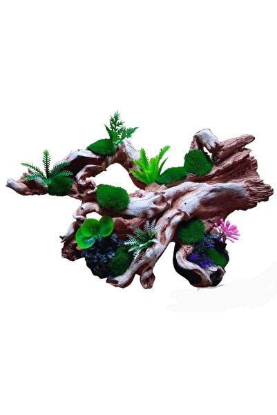 selinus pet ürünleri Bitkili Ağaç Kökü Akvaryum Dekoru