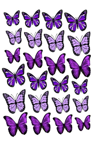 Parti Furyası Pasta Balon Üzeri Dekor Kelebek Süsler  Pasta Balon üzeri Süsle...