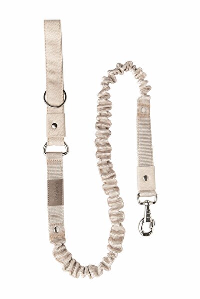 pasiole Shock Absorbing Dog Walking Leash, Anti Shock Spring Dog Walking Leash - Vera