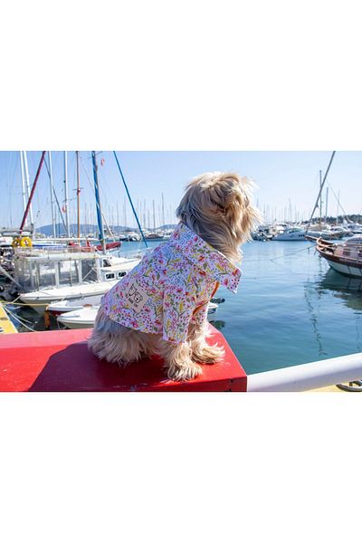 Oli and Lui Dog Shirt - White FLOWER PATTERNED