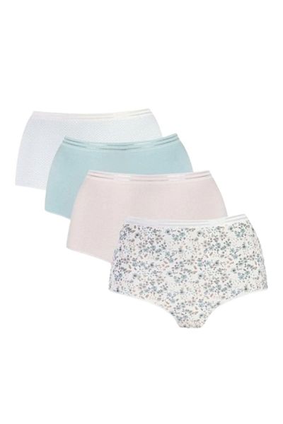 Öztaş Underwear Women's Colorful 4-Piece Panties