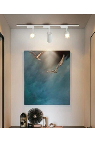 KAE 30w Led Ray Spot 3lü Set -beyaz Kasa -beyaz Işık