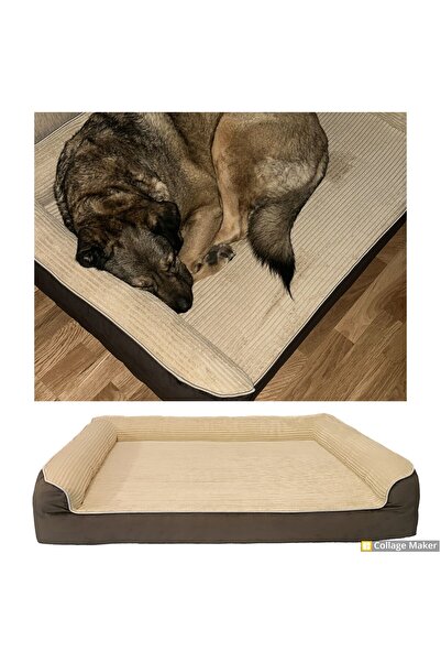 viscopet Premium Sofa Blok sungerli Alezli Fermuarlı Yıkanabilir Köpek Yatağı-S-Latte