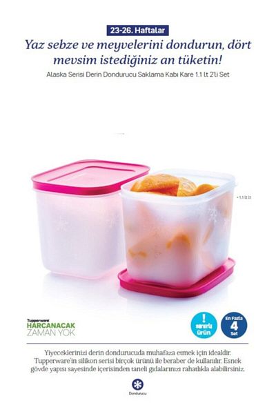 Tupperware Alaska Series Deep Freezer Storage Container