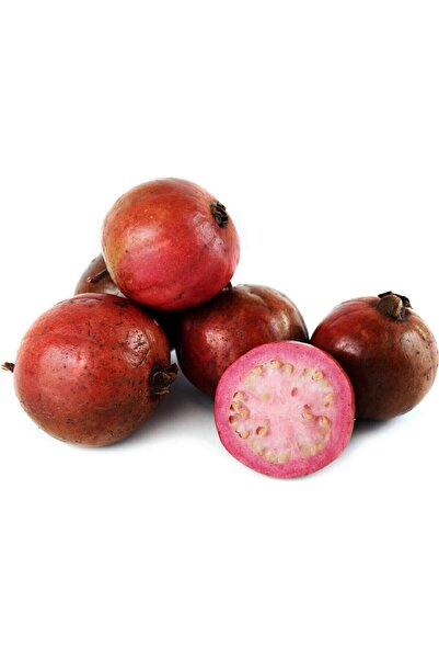 Tohum Dünyası 5 Adet Çilek Guava Meyvesi Tohumu