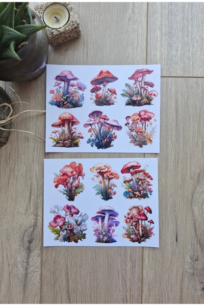 Mona Craftist مجموعة ملصقات فطرية ملونة على شكل زهرة - 2 ورقة، 12 قطعة