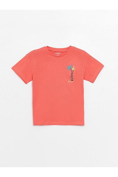 LC Waikiki LCW Baby Crew Neck Printed Short Sleeve T-Shirt for Baby Boy