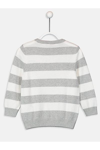 LC Waikiki LCW Kids Crew Neck Boy Sweatshirt