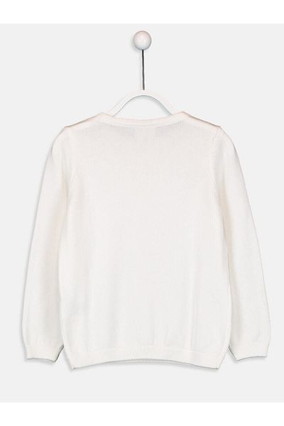 LC Waikiki Sweater