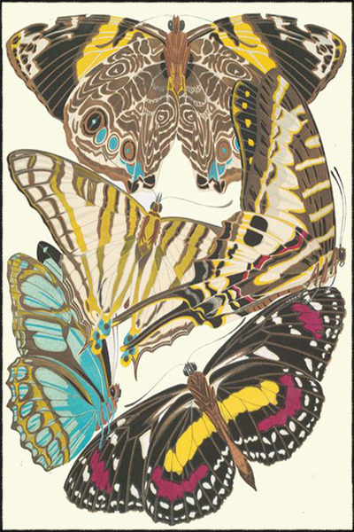 Rugs Modern Halı Butterfly Themed Painted Patterned Decorative and Washable C...