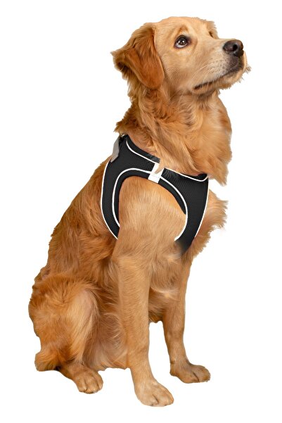 Mita Pet Mita Air Mesh Kedi Köpek Göğüs Tasması Çift Reflektörlü, Terletmeyen Dalmaçyalı / dalmation S