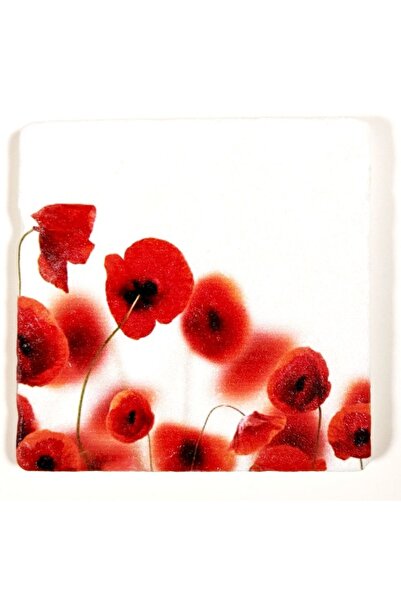 Şeker Portakalım Dekoratif Figürlü Doğal Taş Banyo Gider Kapağı Süsü Tekli 10...