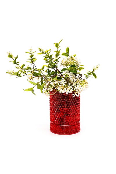 Missi Red Diamond Glass Vase/Candle Holder (14 cm)