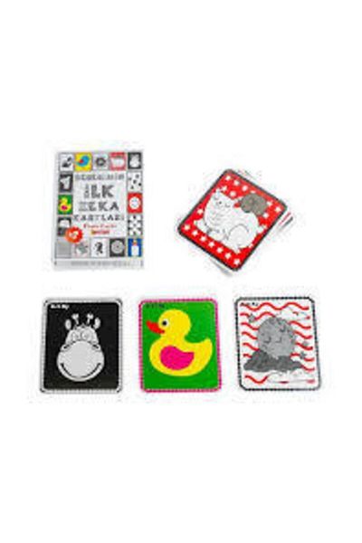 Diytoy My Baby's First Intelligence Cards Flash Card