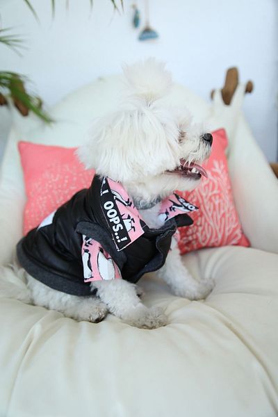 Oli and Lui Black Dog Patterned Coat