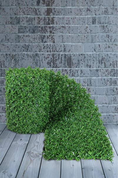 karakaya Çimçit 1.Kalite Bahçe Çiti Dar Göz Aralıklı ve İri Yoğun Yapraklı De...