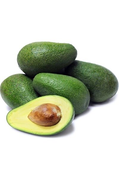 dalından sofraya meyve Avakado 1 Kg