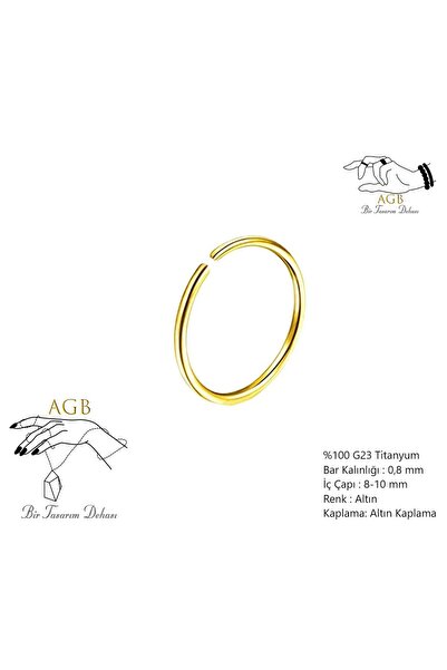 agbtasarım %100 G23 Titanyum Burun, Kulak, Kaş Nostril, Septum, Helix, Dalth ...
