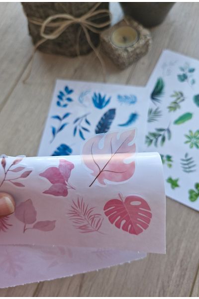 Mona Craftist مجموعة ملصقات شفافة مكونة من 3 قطع مكونة من 55 قطعة - ملصق شفاف باللون الأزرق والأخضر والوردي