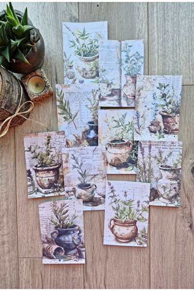 Mona Craftist 10 Adet Eskitme Saksı Temalı Scrapbook Kağıt Seti Bullet Journa...