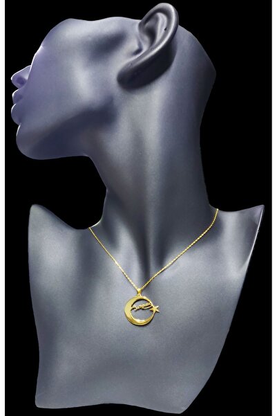 Genel Markalar Ay Yıldızlı Ve K.atatürk Imzalı 925 Ayar Gümüş Kolye (ALTIN KAPLAMA)