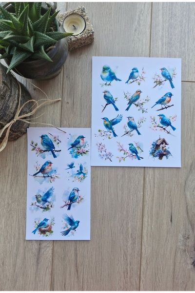 Mona Craftist 2 ورقة 20 قطعة مجموعة ملصقات الطيور الأزرق ساكورا الطيور ملصق خمر
