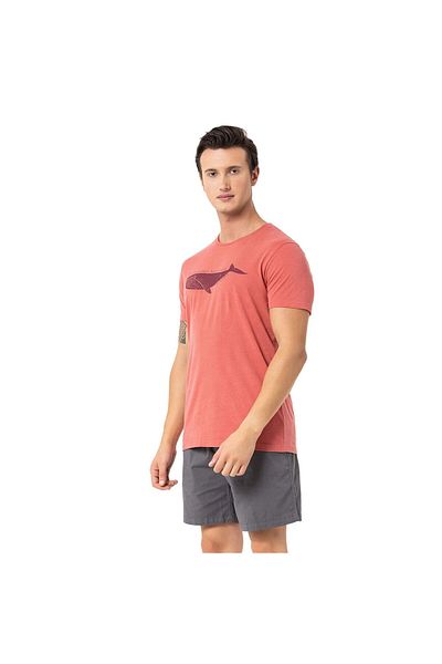 ROUTEFIELD Rftail24 - Men's T-Shirt Multicolor Tail Design