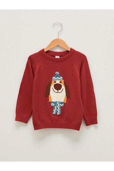 LC Waikiki Lcw Baby Crew Neck Long Sleeve Printed Baby Boy Knitwear Sweater