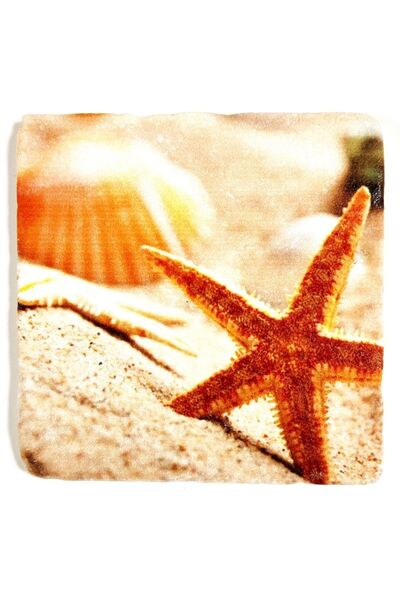 Şeker Portakalım Dekoratif Figürlü Doğal Taş Banyo Gider Kapağı Süsü Tekli 10...