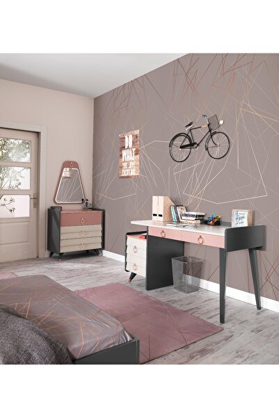 GRAZIAHOME Çalışma Masası Genç Odası ve Çalışma Odası için Modern Kullanışlı ...