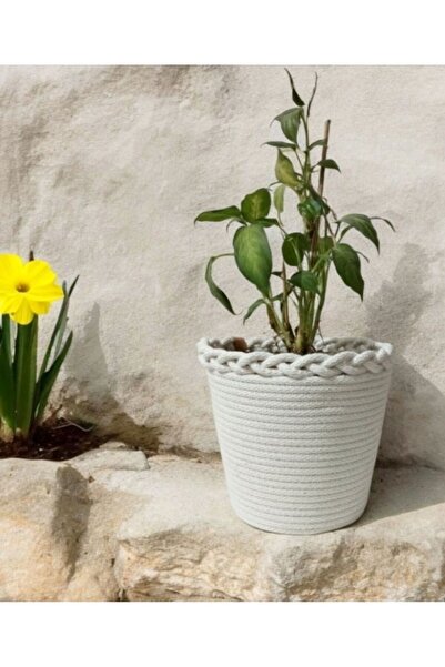 bayram taşcıoğlu home desing Dekoratif Sepet, Saksılık