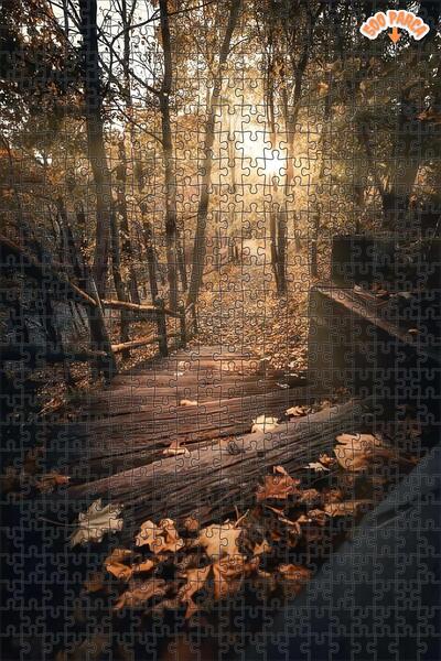 Teona Ahşap Sonbahar Işığında Yürüyüş Yolu Çift Katlı Çerçeveli Asılabilir Ah...