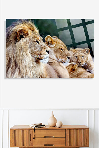 TAULART Lion Family Leo Family 4mm Unbreakable Tempered High Definition Glass Table