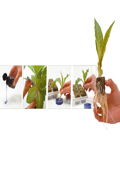 tohumcu kikizade Doğal KÖKLENDİRME TOZU Köklendirme HORMONU ***2 Grm *** GİBB...