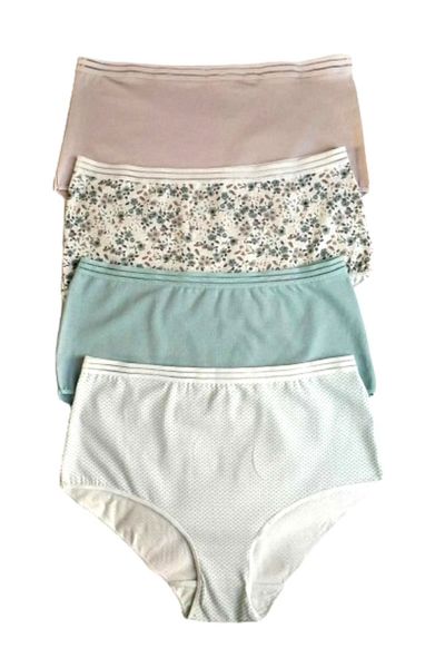 Öztaş Underwear Women's Colorful 4-Piece Panties